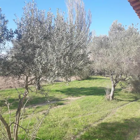 Olympian Garden Holiday home Agios Nikolaos (Chalkidiki)