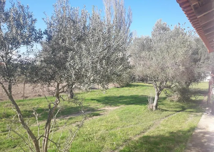 Olympian Garden Casa vacanze Agios Nikolaos (Chalkidiki)
